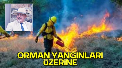Orman Yangınları Üzerine