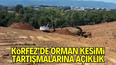 Kocaeli Körfez’de Orman Kesimi Tartışmasına Açıklık: Mezarlık Alanı Kamu Yararıyla Tahsis Edildi