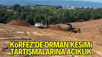 Kocaeli Körfez’de Orman Kesimi Tartışmasına Açıklık: Mezarlık Alanı Kamu Yararıyla Tahsis Edildi
