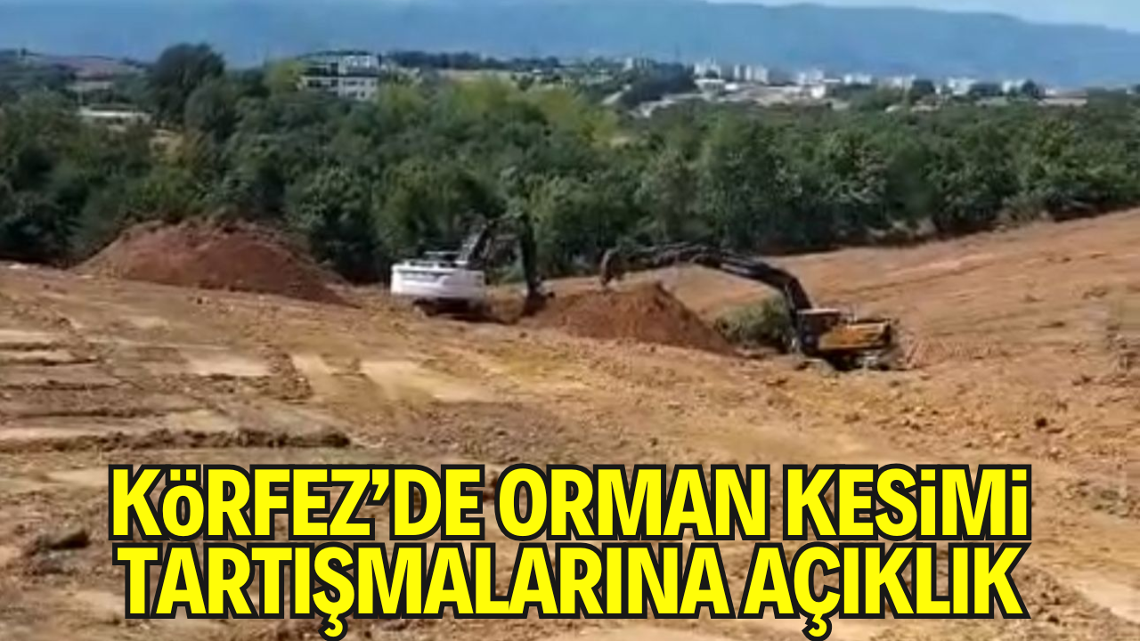 Kocaeli Körfez’de Orman Kesimi Tartışmasına Açıklık: Mezarlık Alanı Kamu Yararıyla Tahsis Edildi