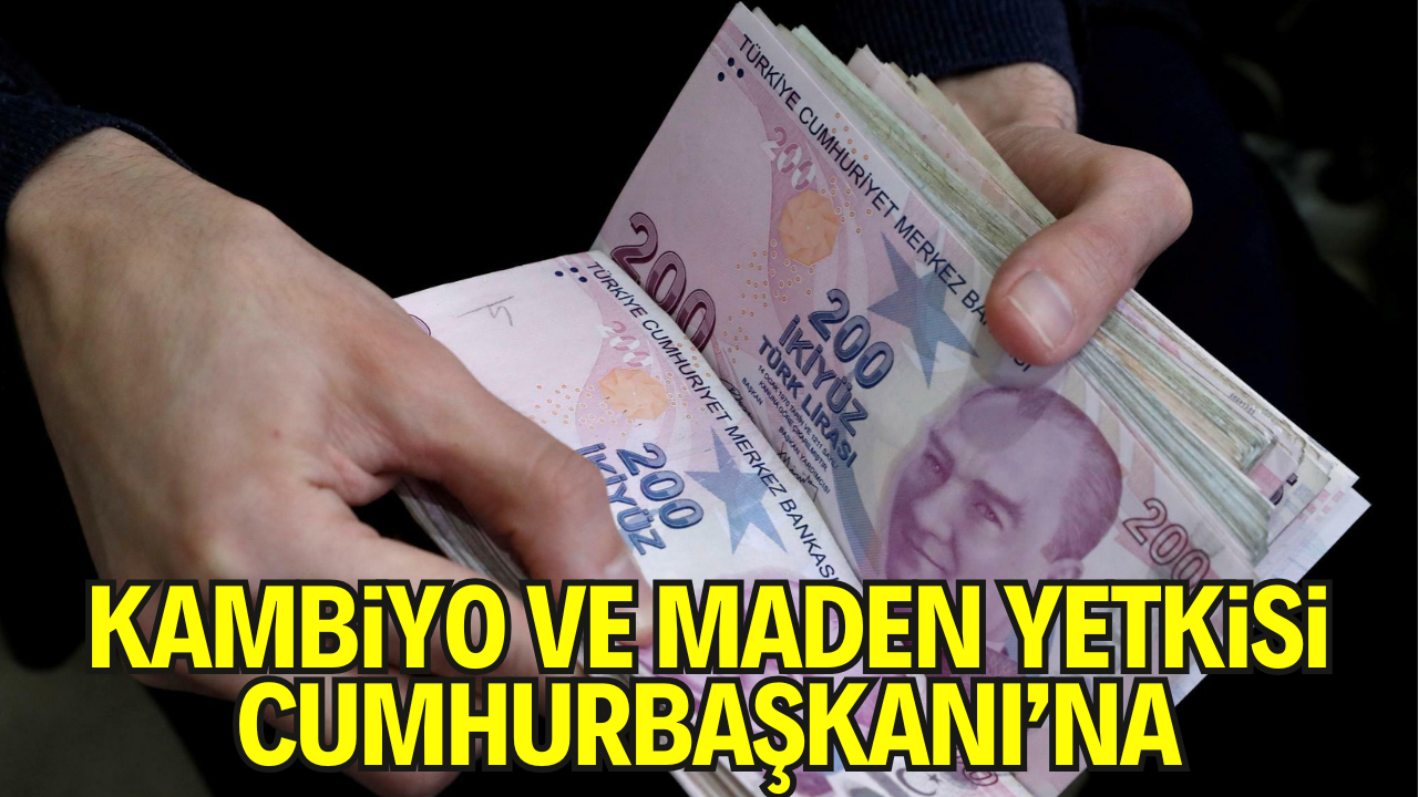 Kambiyo ve Kıymetli Madenlerde Tüm Yetki Cumhurbaşkanı’na Verildi