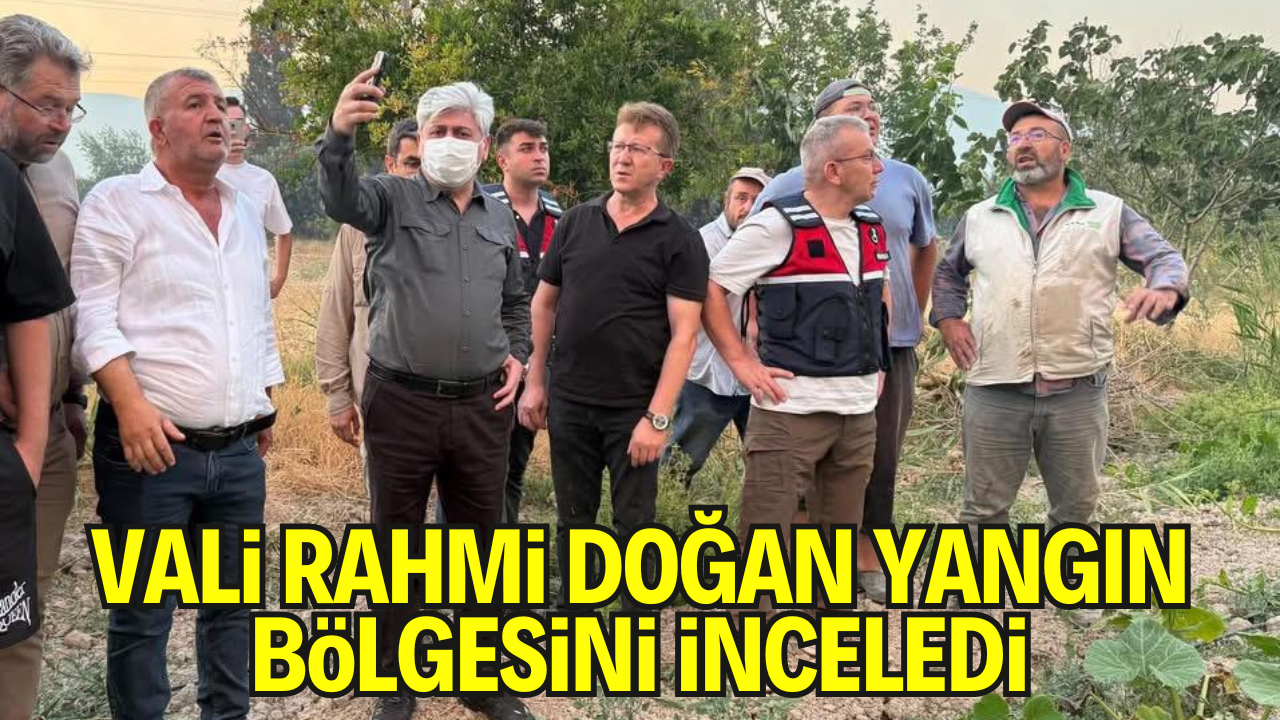 Vali Rahmi Doğan, Geyve’deki Yangın Bölgesinde İncelemelerde Bulundu – Tedbir Eleştirisi Gündemde