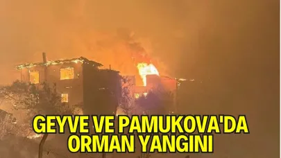 Geyve ve Pamukova'da Orman Yangını: Tahliyeler Başladı, Havadan Müdahale Sürüyor