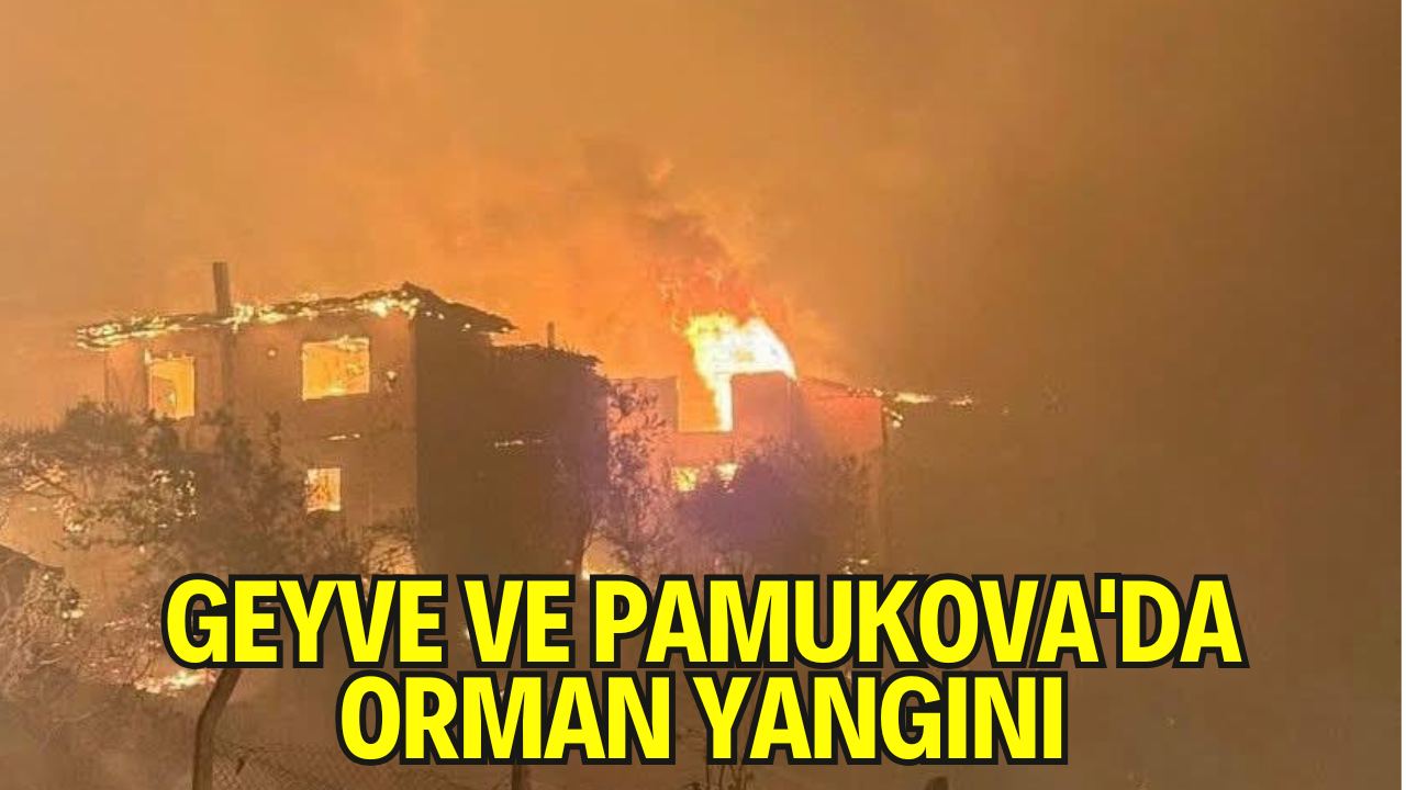 Geyve ve Pamukova'da Orman Yangını: Tahliyeler Başladı, Havadan Müdahale Sürüyor