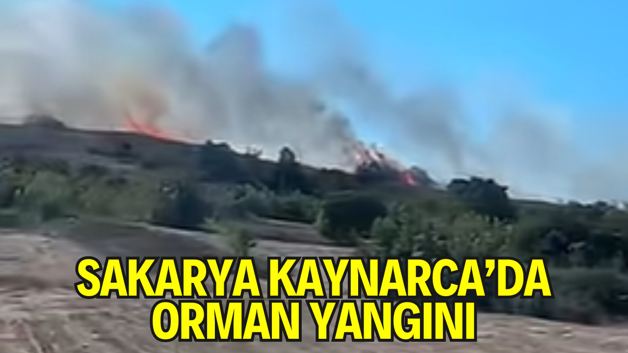 Sakarya Kaynarca Sabırlı Emirler Mevkiinde Orman Yangını Çıktı