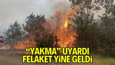 “Ormanlarımız Neden Yanıyor?” Sorusuna Yeniden Dönüldü: Faciadan Sonra Kritik Sorular Gündemde