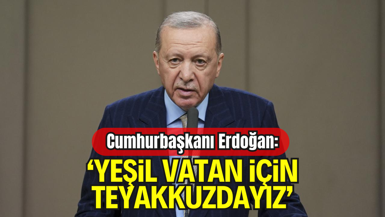 Erdoğan: "Yangınlara Karşı Teyakkuz Hâlindeyiz"