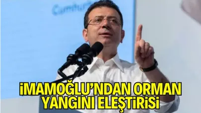 İmamoğlu’ndan Orman Yangınları Tepkisi: "Partizanlığı Bırakın, Şeffaf Olun"