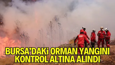 Bursa’da Orman Yangınları Kontrol Altında: 12 Mahalle Tahliye Edildi