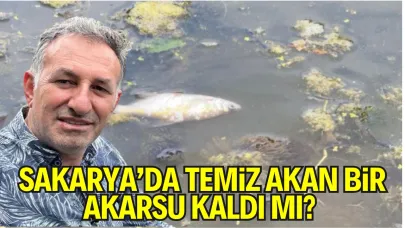 Sakarya’da Temiz Akan Bir Akarsu Kaldı mı? Mudurnu Deresi Kiremit Rengine Büründü, Ürünler Atık Sularla Sulanıyor!