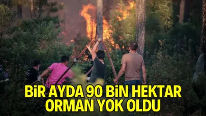 Türkiye’de Orman Yangını Felaketi: 90 Bin Hektar Alan Kül Oldu