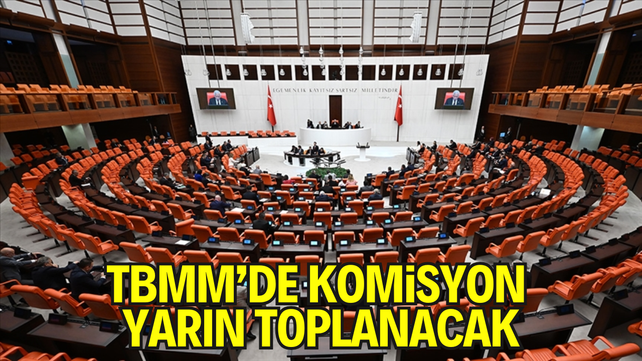 Meclis’te Tarihi Adım: Silah Bırakma Süreci İçin Komisyon Toplanıyor