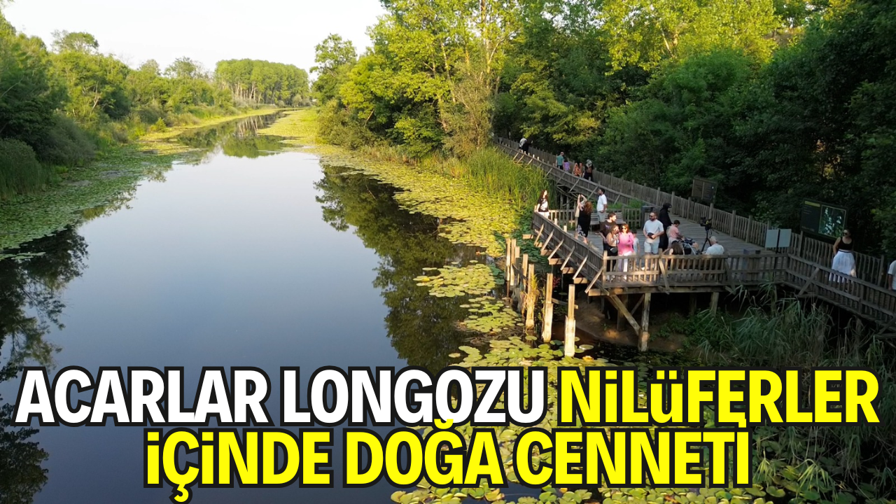 Acarlar Longozu Ziyaretçilerini Doğal Güzellikleri Ağırlıyor
