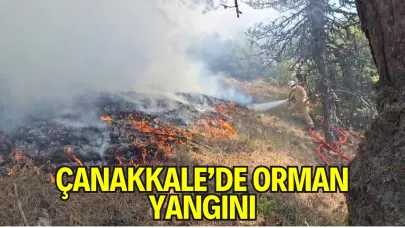 Çanakkale’de Orman Yangını Hastaneye Kadar Ulaştı