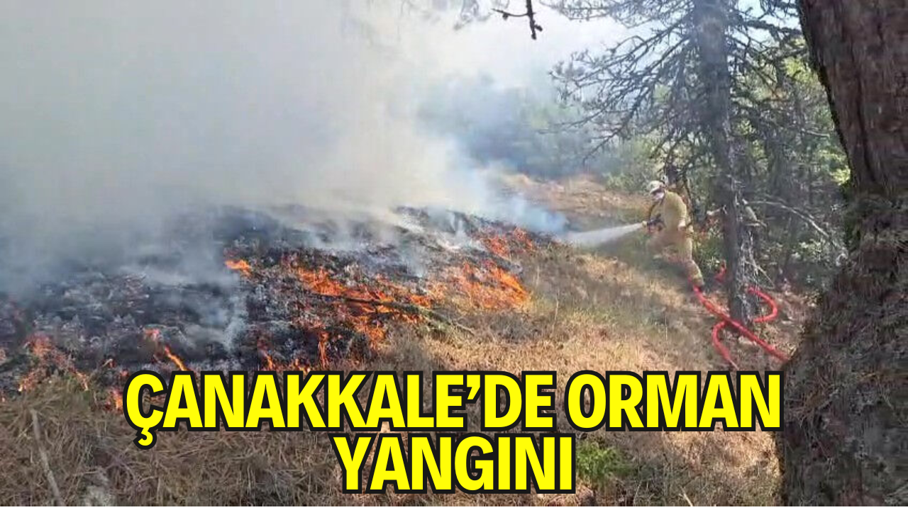 Çanakkale’de Orman Yangını Hastaneye Kadar Ulaştı