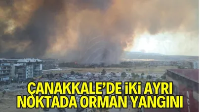Çanakkale’de İki Ayrı Noktada Orman Yangını: Köyler Boşaltıldı, Çok Sayıda Ev Yandı