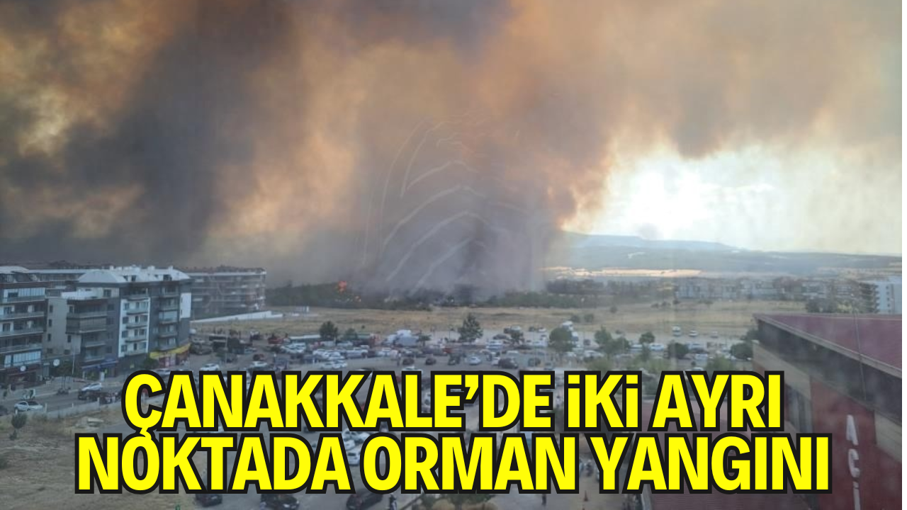 Çanakkale’de İki Ayrı Noktada Orman Yangını: Köyler Boşaltıldı, Çok Sayıda Ev Yandı