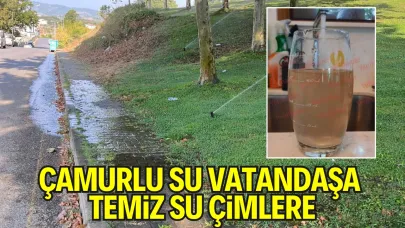 Çamurlu Su Vatandaşa, Temiz Su Çimlere