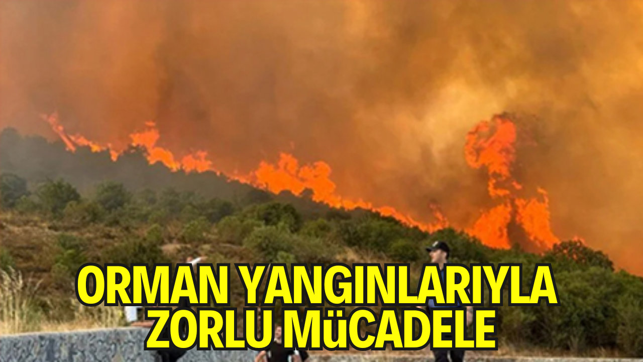 Türkiye Birden Fazla İlde Orman Yangınlarıyla Mücadele Ediyor: Bakan Yumaklı Son Durumu Açıkladı