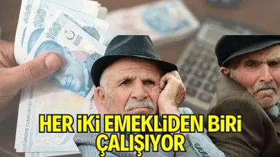 TÜİK Verilerine Göre Emeklilerin Yarısı İş Gücü Piyasasında