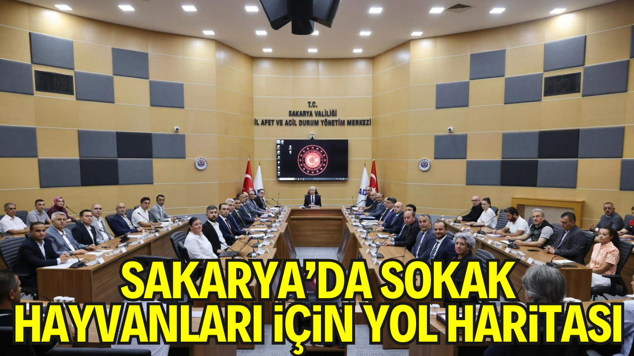 Valilik Toplantı Salonu’nda Sokak Hayvanları Gündemi