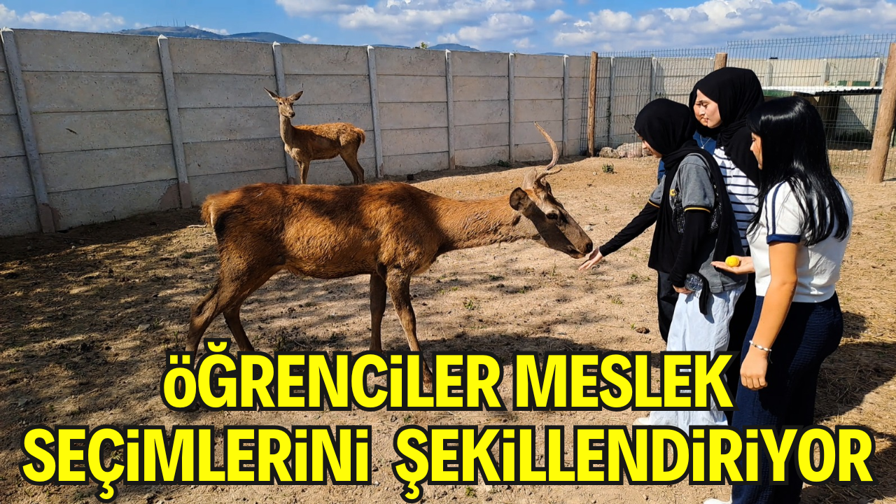 Kaynarcada Lise Öğrencileri Meslek Seçimlerini Sahada Şekillendiriyor