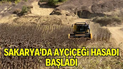 Sakarya'da Ayçiçeği Hasadı Başladı