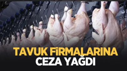 Tavuk Eti Sektöründe Rekor Ceza: Rekabet Kurulu’ndan 3,7 Milyar TL Yaptırım