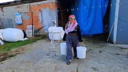 Sakarya’da Tarımsal Kalkınma Kooperatifi Devlet desteğiyle