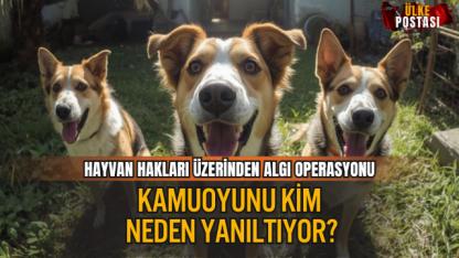 HAYVAN HAKLARI ÜZERİNDEN ALGI OPERASYONU: KAMUOYUNU KİM, NEDEN YANILTIYOR?